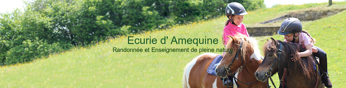 Ecurie d' Amequine